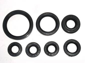 komplet (zestaw) uszczelniaczy silnikowych yamaha yfm660 raptor '01-'05 (7 szt.) (at-09645)