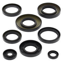 Winderosa (vertex) komplet (zestaw) uszczelniaczy silnikowych yamaha yfm350 grizzly 07-14 bruin 04-06 wolverine 06-09
