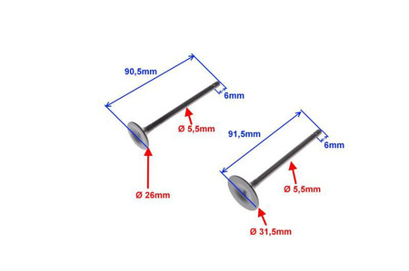 Zawór ssący i wydechowy do silników 162FMJ