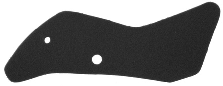 Filtr powietrza malaguti password 250 rms 10 060 1210