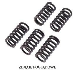 Trw lucas zf sprężyny sprzęgłowe suzuki rm 125/250 '01-'12