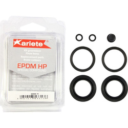 Zestaw naprawczy zacisku hamulcowego apriliarx50 91-06, betarr50/125, malaguti50/125/200/250, piaggio50/125/150/180/200/250/yamahadt50x ,xt125x