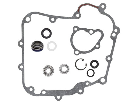 Bronco 2022/02 zestaw naprawczy pompy wody kawasaki kvf 300 brute force '12-'21 (11061-y028, 11061-y029, 49063-y002, 92033-y015, 92045-y017, 92045-y018, 92049-y011, 92055-y023)