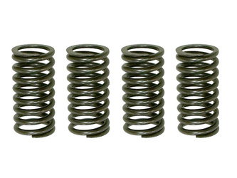 Psychic 2022/11 sprężyny sprzęgłowe kawasaki kdx 200 '05-'06, honda nx 250r '88-'90 (ebs030)