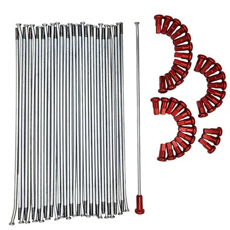 komplet szprych gas gas ec przód 21' (36szt.) srebrny ocynk, kolor czerwony, nyple ergal !!!