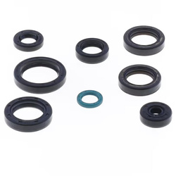 KOMPLET (ZESTAW) USZCZELNIACZY SILNIKOWYCH TM EN / MX 125 '15-'24, EN / MX 144 '19-'24, EN 125 / 144 FI '20-'24, SMR 125 FI '20-'24