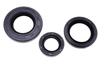 Uszczelniacz silnika Tgb 101S komplet