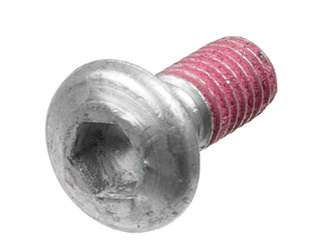 ŚRUBY TARCZY HAMULCOWEJ PRZÓD KAWASAKI KLX 250 R '94-'96, KLX 300 R '97-'03, KX 125 / 250 '74-'08, KX 500 '83-'04 (M6 X 1,00 DŁ. 17MM) (KPL. 6 SZT.)