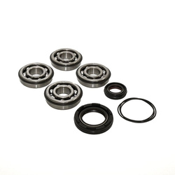 łożyska wału korbowego z uszczelniaczami yamaha yfz 350 banshee '87-'06 (ntn) (made in japan) (24-1034) patrz opis towaru