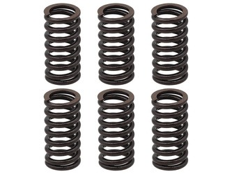 sprężyny sprzęgłowe suzuki lt 230 '85-'88, lt 250sk/sl/rf/rm 87-'92, lt 500 '87-'90,