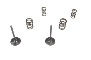 KPL. ZAWORÓW SSĄCYCH + SPRĘŻYNY KAWASAKI KX 450 F (KXF 450) '06-'08