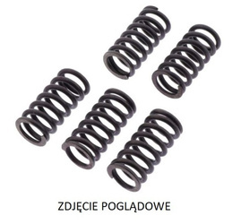 Trw lucas zf sprężyny sprzęgłowe suzuki lt-r 450 quadracer '06-'12