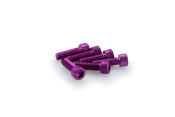 Śruby z anodyzowanego aluminium blister 6 śrub imbusowych m6x20mm fioletowe