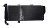 Chłodnica cieczy do Kawasaki Er-6N 2012-2016