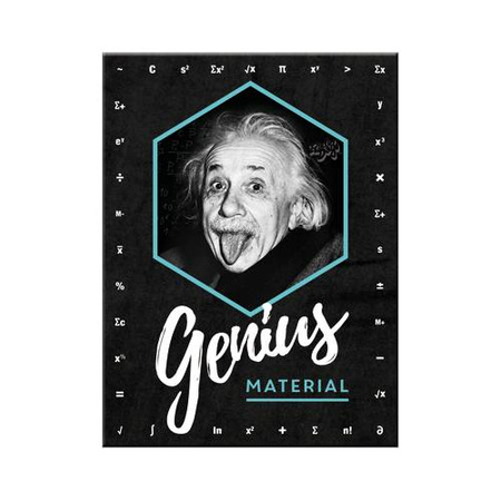 Magnes Einstein Genius Material14395