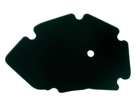 Filtr powietrza piaggio x9 125/180 '00-'03, gilera runner 125/180 '00-'01 (oem: 827936)