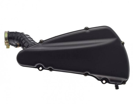 Obudowa filtra powietrza do Longjia LJ50QT-9M