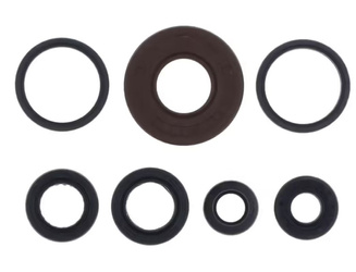 KOMPLET (ZESTAW) USZCZELNIACZY OLEJOWYCH SILNIKA KYMCO MXER 150 '02-'04, MXU 150 '05-'06