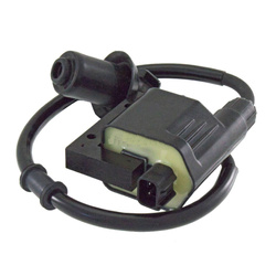 Cewka Zapłonowa Like 200