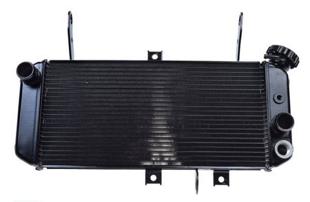 Chłodnica cieczy Suzuki SV650