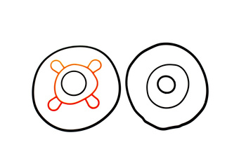 Komplet O-Ringów Power Force Minarelli Am6 Aprilia Rs Yamaha Dt Rz 50 Wersja 1