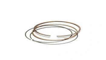 PIERŚCIENIE ( średnica 99,20mm ) (KPL.)