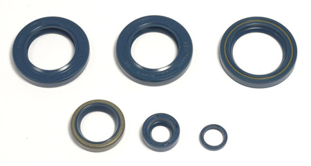 Athena komplet (zestaw) uszczelniaczy silnikowych ktm lc4 egs400/620`96-98, lc4-e400`98-02, lc4 620`96-01