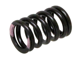 Psychic sprężyna zaworu ssącego kawasaki kxf 250 '11-'16 (mx-09539is)