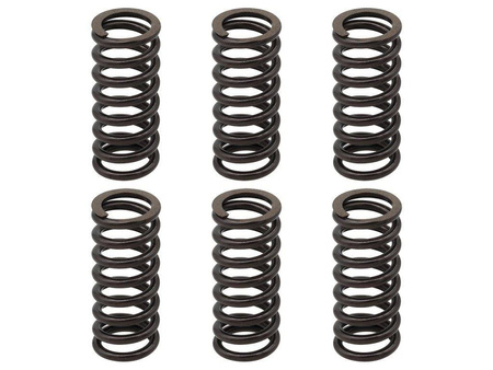 Psychic 2022/11 sprężyny sprzęgłowe ktm exc 250 racing '02-'05, exc-f 250 '03-'04, exc 400 '01-'07, sx/mxc '00-'02, exc/mxc/smr/sx 450/525 '03-'05, smr 560 '06, (ebs094)