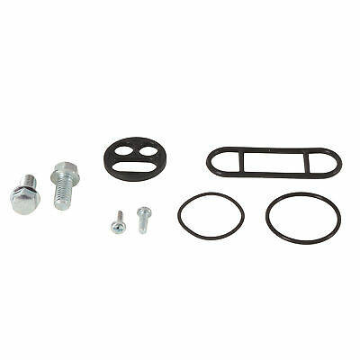 Zestaw naprawczy kranika kawasaki kx100 98-00, kx80 98-00