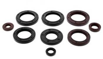 Winderosa (vertex) komplet (zestaw) uszczelniaczy silnikowych can-am defender 500 17-20, defender 500 dps 17-20, defender 500 dps camo 17, outlander max 450 6x6 19-20