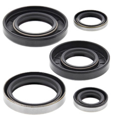 Winderosa (vertex) komplet (zestaw) uszczelniaczy silnikowych kawasaki kx250 82