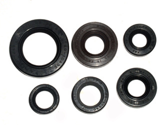 komplet (zestaw) uszczelniaczy silnikowych honda trx 300ex '93-'08