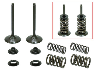 ZAWORY SSĄCE (KOMPLET 2 SZT. ZAWORÓW ZE SPRĘŻYNAMI I PODKŁADKAMI) HONDA CRF 450 X '05-'16 STALOWE (MX-09503I) (35X5,45X84,6MM)