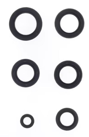 KOMPLET USZCZELNIACZY OLEJOWYCH SILNIKA SYM GTS JOYMAX 125 '06-'07, HD 2 125 '03-'07, HD EVO 125 '05-'10, HD EVO 200 '03-'11, JOYRIDE 125 '03-'06, JOYRIDE 200 '05-'09, JOYRIDE 125 '07-'14