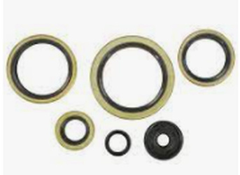 Winderosa (vertex) komplet (zestaw) uszczelniaczy silnikowych ktm exc 300 94-03, exc 360 96-97, exc 380 98-02, mxc 300 94-03, mxc 360 96-97, mxc 380 98-01, sx 300 94, sx 360 96-97, sx 380 98-02