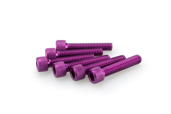 Śruby z anodyzowanego aluminium blister 6 śrub imbusowych m6x30mm fioletowe