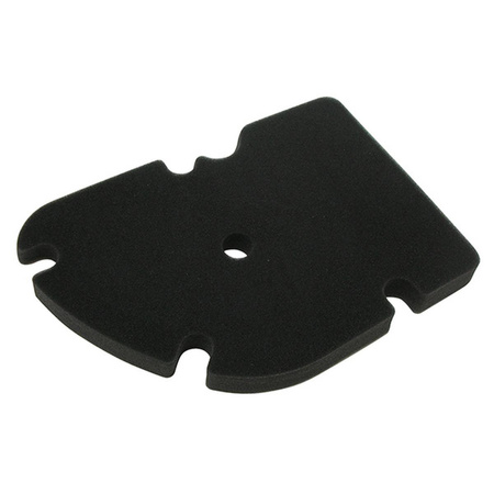 Filtr powietrza peugeot/piaggio 125/200/250/300 (hfa5203ds) (100)