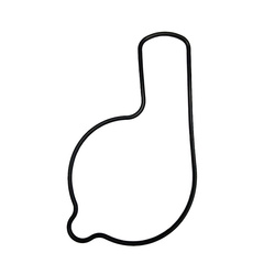 USZCZELKA POMPY WODY HONDA TRX 450R '04-'05 (OEM: 19226HP1670)