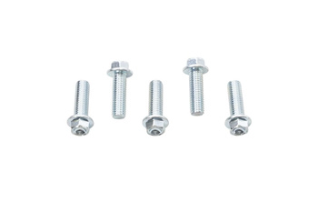 ŚRUBA KOŁNIERZOWA M8X25MM Z WKLĘSŁYM ŁBEM BEZ OZNACZEŃ (5 SZT.)