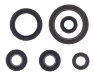 Athena komplet (zestaw) uszczelniaczy silnikowych ktm excf 250 '2020