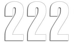 Numery startowe 13cm x 7cm proste, kolor biały nr2 (3szt.)