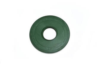 Uszczelniacz wału 25-72-7 Wgr MZ250