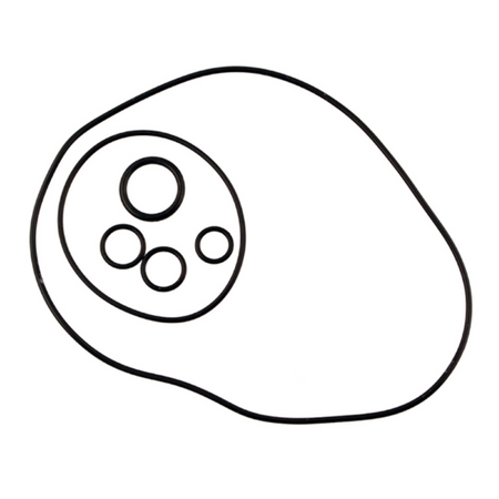 Zestaw O-Ringów Silnika Px