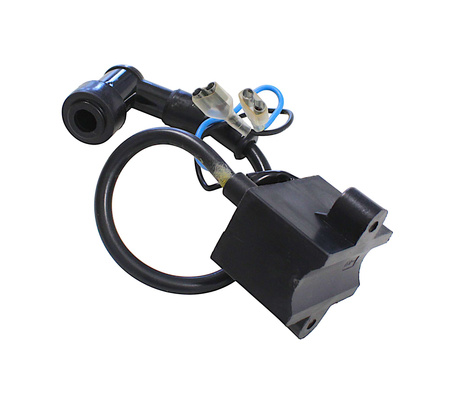 Cewko-Moduł Silnika Rowerowego 2t 80ccm