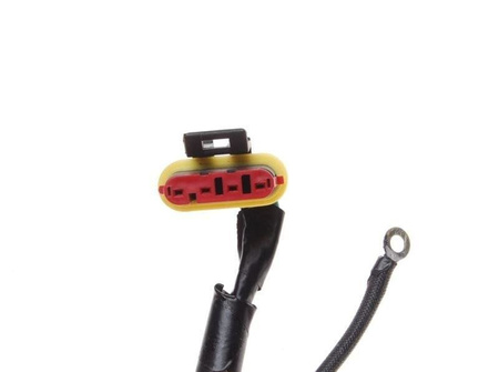 Staror iskrownik z kołem silnik Am6