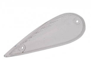 Klosz kierunkowskazu lewy przód Tgb