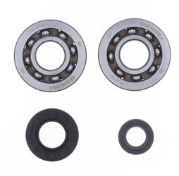 ŁOŻYSKA WAŁU KORBOWEGO Z USZCZELNIACZAMI PGO BIG MAX 50, G-MAX 50