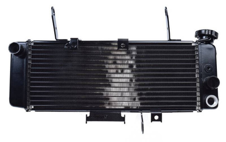 Chłodnica cieczy Suzuki SV650