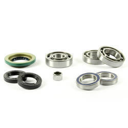 Zestaw naprawczy dyferencjału tylnego can-am outlander 500 07-11 (25-2068)